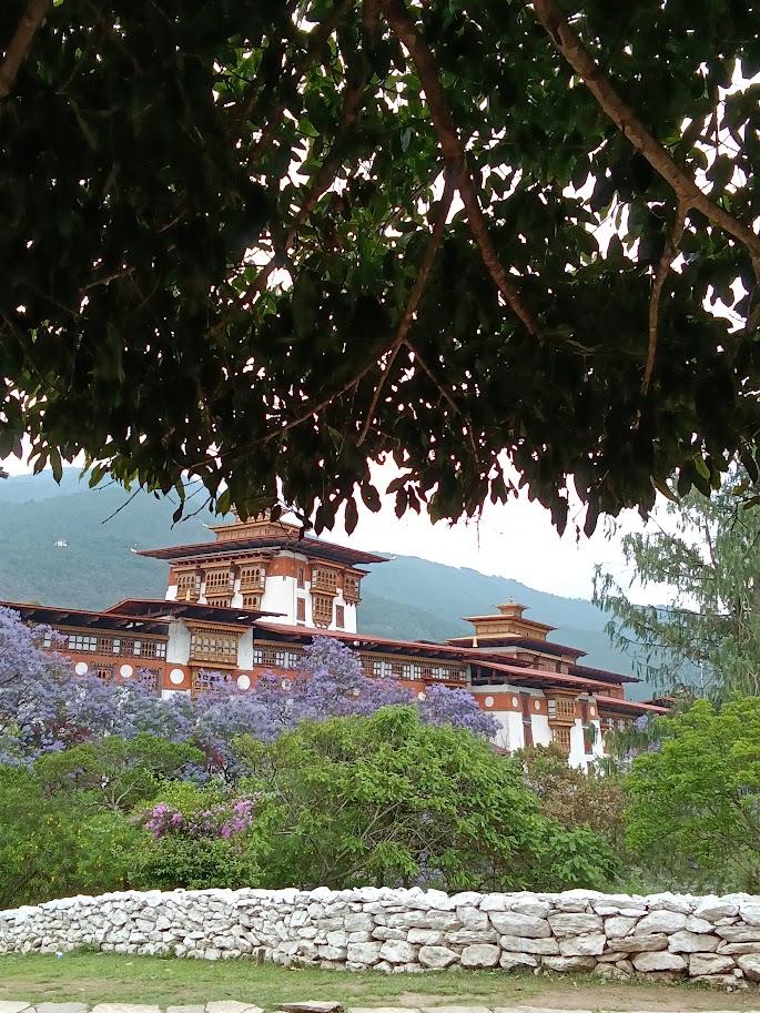 Om Tours Gallery Image